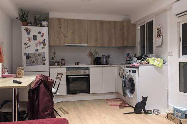 House sit in Valencia, Spain