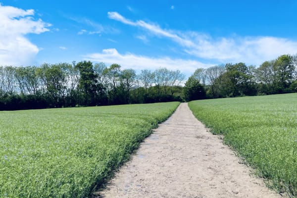 House sit in Henley on Thames, United Kingdom