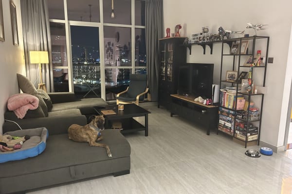 House sit in Dubai, United Arab Emirates