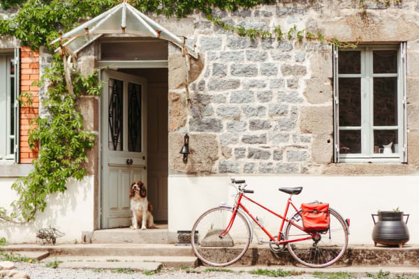 House sit in Guéret, France