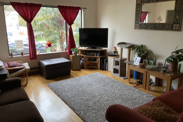 House sit in Kitsilano, BC, Canada