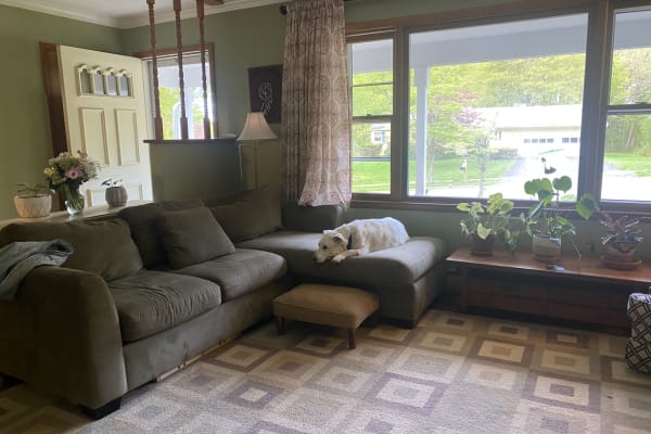 House sit in Burlington, VT, US