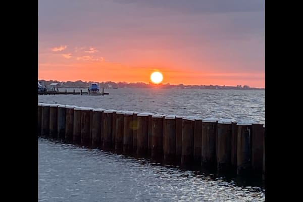 House sit in Bradenton, FL, US