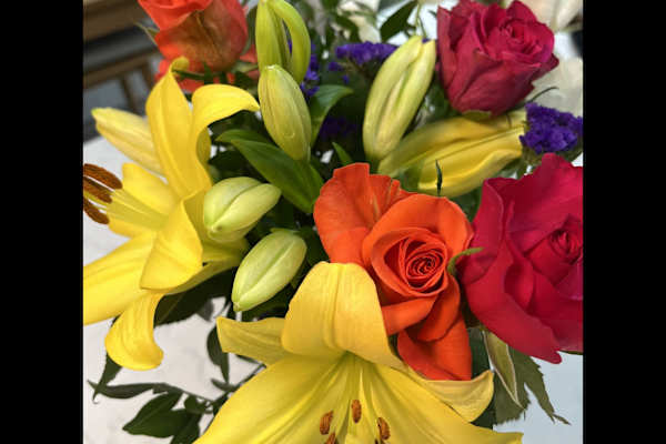 House sit in Twickenham, United Kingdom