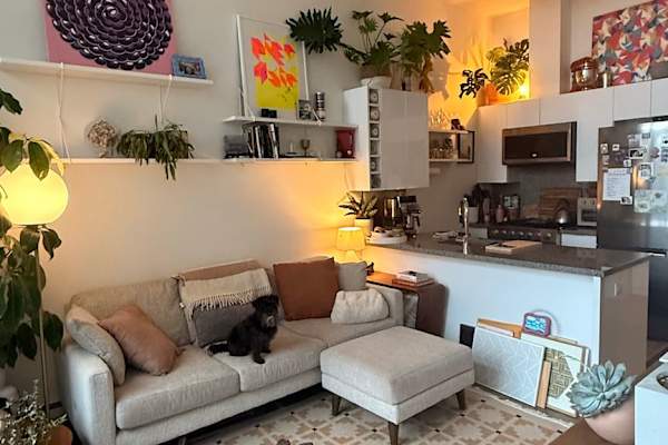 House sit in Vancouver, BC, Canada