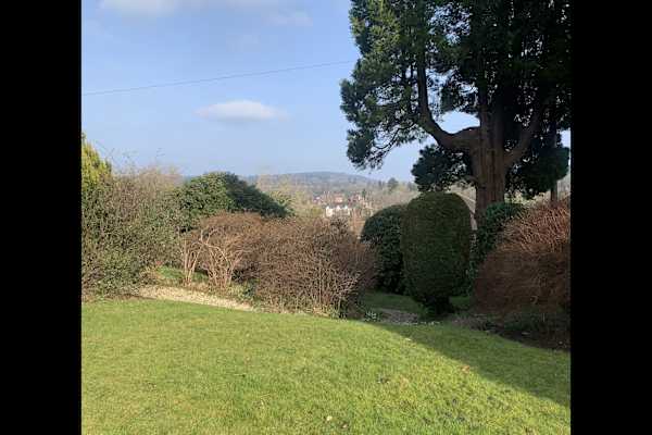 House sit in Haslemere, United Kingdom