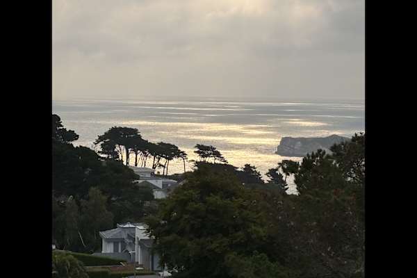 House sit in Torquay, United Kingdom