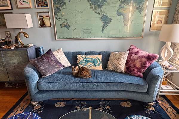 House sit in Brooklyn, NY, US