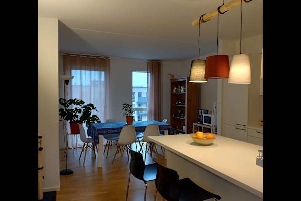 House sit in Copenhagen, Denmark