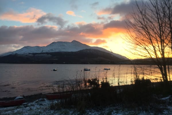 House sit in Taynuilt, United Kingdom