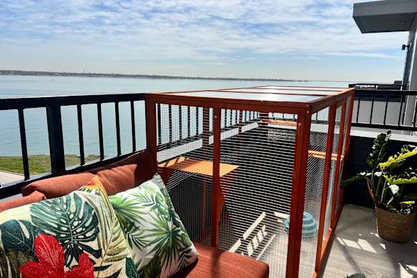 House sit in Rowlett, TX, US