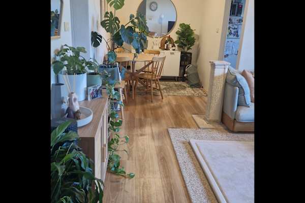 House sit in Newcastle, NSW, Australia