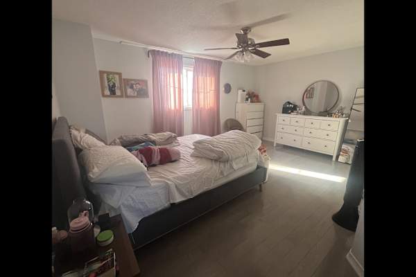 House sit in Pickering, ON, Canada