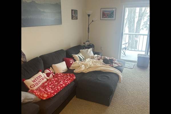 House sit in Madison, WI, US