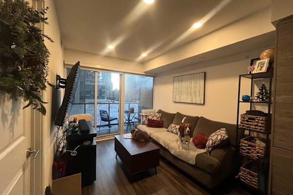 House sit in Toronto, ON, Canada