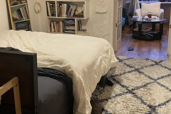 House sit in Brooklyn, NY, US