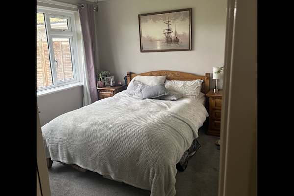 House sit in Taunton, United Kingdom