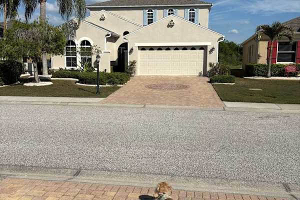 House sit in Sun City Center, FL, US