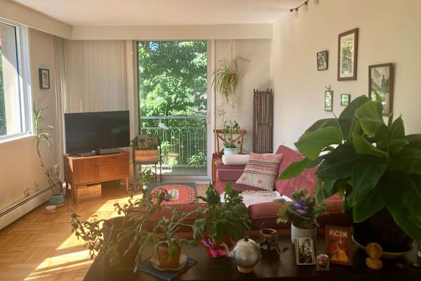 House sit in Vancouver, BC, Canada