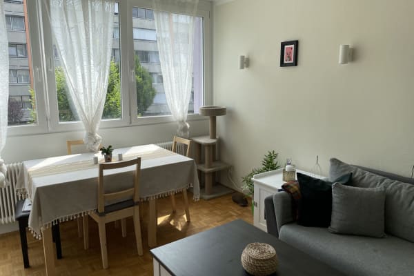 House sit in Salzburg, Austria