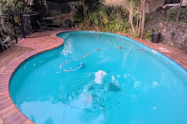 House sit in Logan City, QLD, Australia