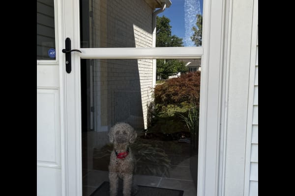 House sit in Indianapolis, IN, US