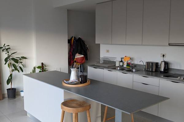 House sit in Amman, Jordan