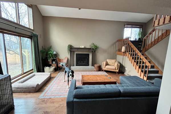 House sit in Madison, WI, US