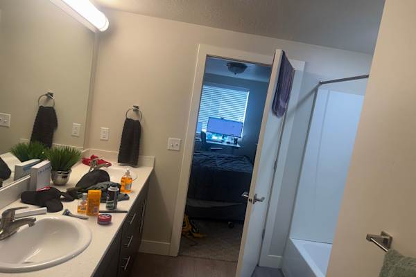 House sit in Lehi, UT, US