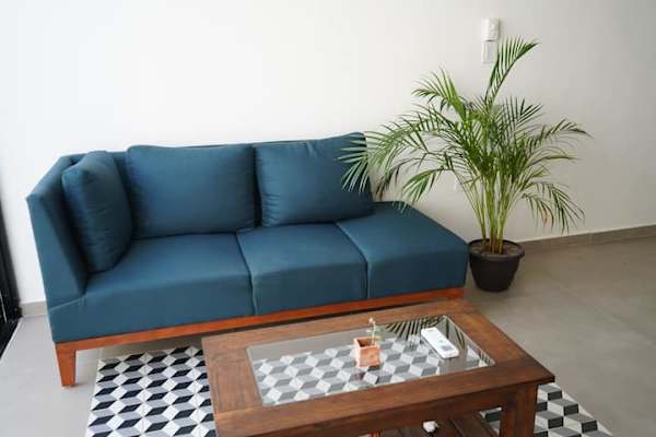 House sit in Mérida, Mexico