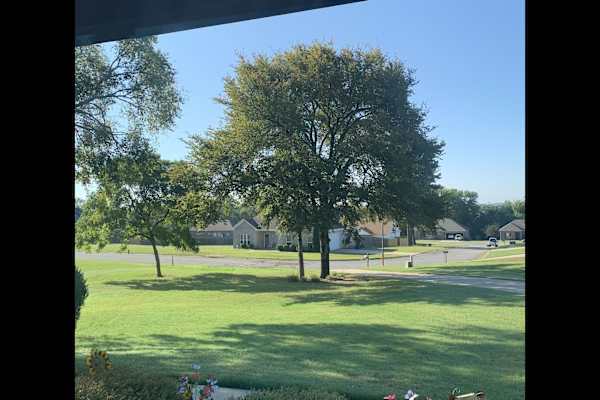 House sit in Conway, AR, US