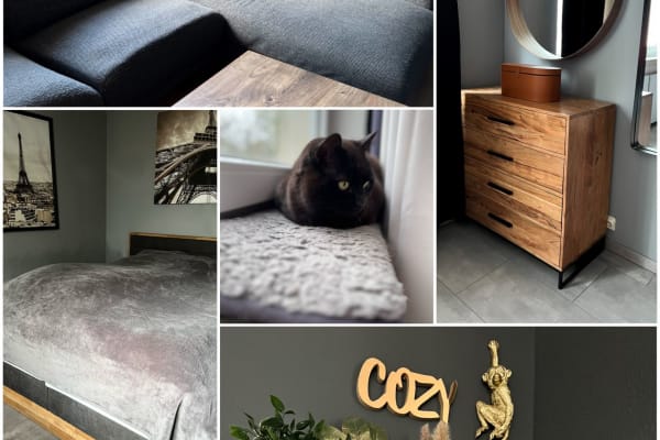 House sit in Bonn, Germany
