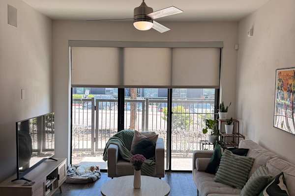 House sit in Dallas, TX, US