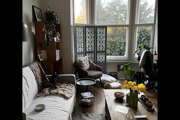 House sit in Finsbury Park, United Kingdom