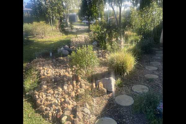 House sit in Brisbane, QLD, Australia