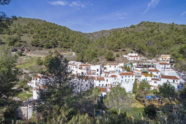 House sit in Benamargosa, Spain