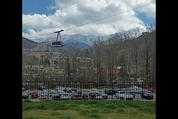 House sit in Gatlinburg, TN, US