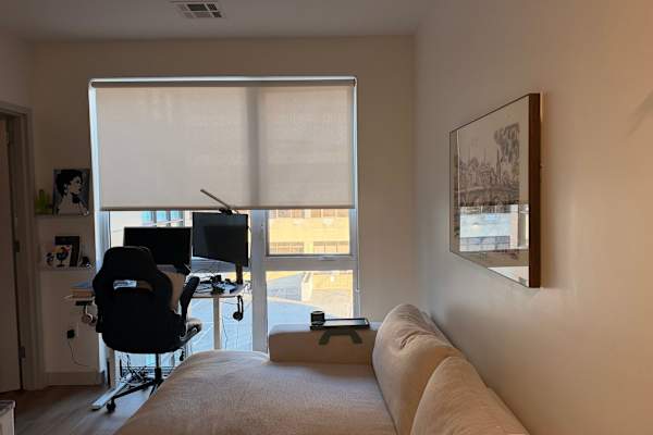 House sit in New Rochelle, NY, US