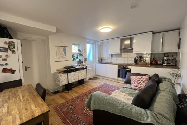 House sit in London, United Kingdom