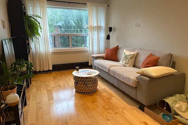 House sit in Toronto, ON, Canada