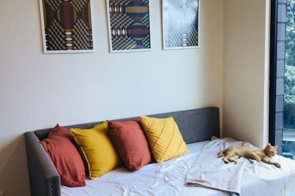 House sit in San José, Costa Rica