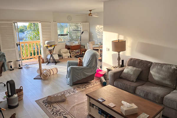 House sit in Tarzana, CA, US