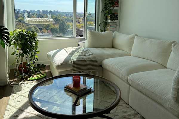 House sit in Ottawa, ON, Canada