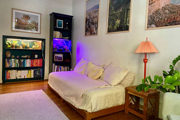 House sit in Sacramento, CA, US