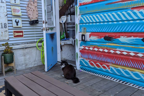 House sit in San Francisco, CA, US