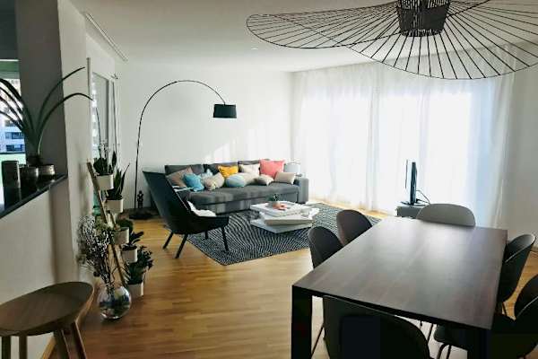 House sit in Zürich, Switzerland