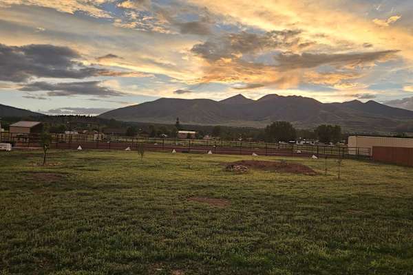 House sit in Flagstaff, AZ, US