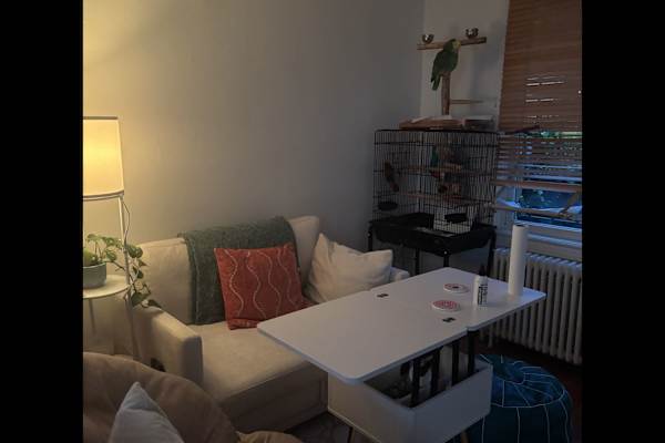 House sit in Washington, D.C., Washington, D.C., US