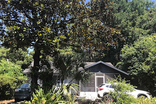 House sit in Gainesville, FL, US