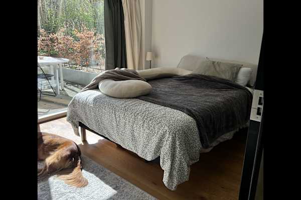 House sit in Copenhagen, Denmark